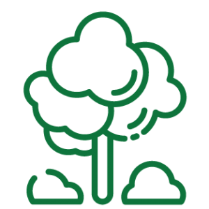 אייקונים נהריה לייף-04